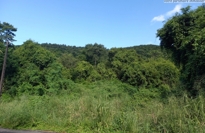 VIEUX HABITANTS - Un terrain boisé de 5500 m2 - Accès rivière