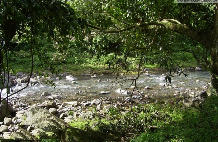 VIEUX HABITANTS - Un terrain boisé de 5500 m2 - Accès rivière