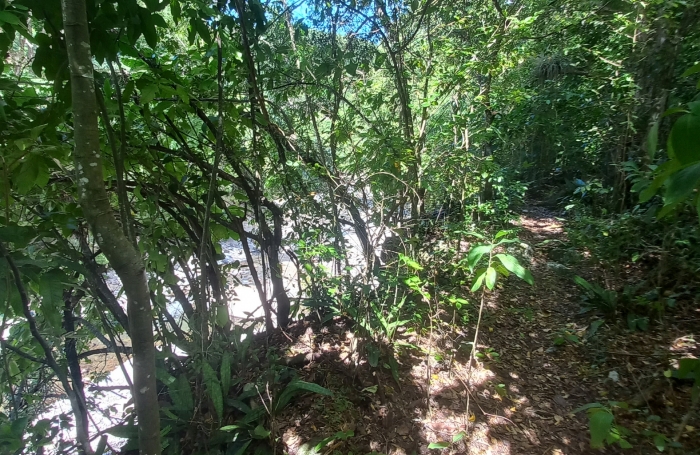 VIEUX HABITANTS - Terrain 4 800 m2 - Accès rivière.