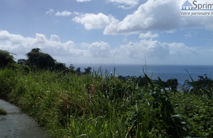 VIEUX HABITANTS - Terrain 2700 m2 - Belle vue sur la mer