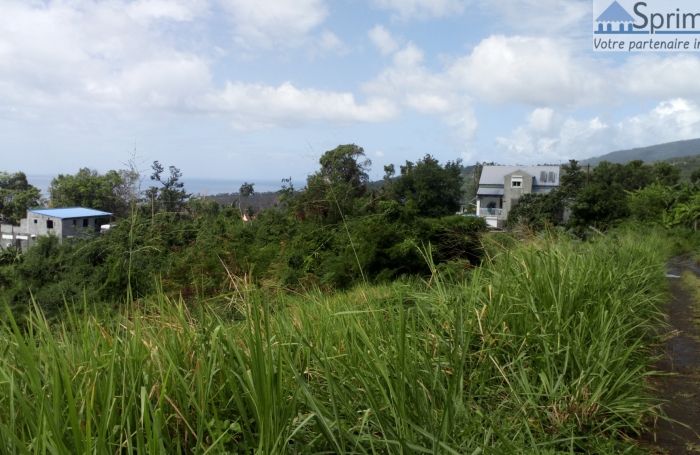 VIEUX HABITANTS - Terrain 2700 m2 - Belle vue sur la mer