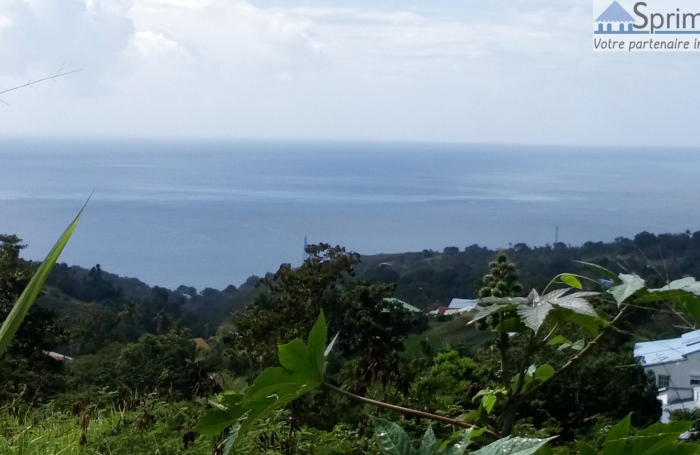 VIEUX HABITANTS - Terrain 2700 m2 - Belle vue sur la mer