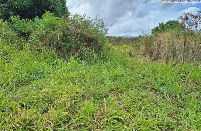 VIEUX HABITANTS - TERRAIN - 4956 m2 - Vue sur la mer