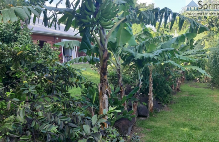 TROIS-RIVIERES, Villa T5 avec Jardin Arboré et Bassin Naturel, dans un Havre de Paix