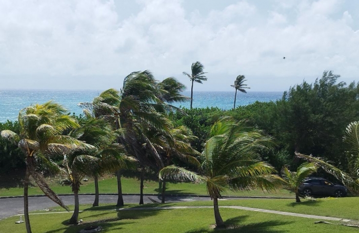 Vente Appartement 19.22m&sup2; 1 pièce Saint Fran&ccedil;ois