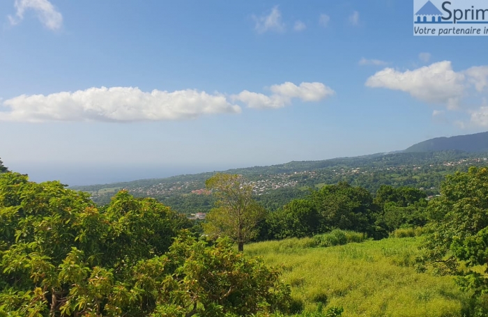 GOURBEYRE/PALMISTE - Appartement T4 Non meublé - Non climatisé - Vue Mer et montagne