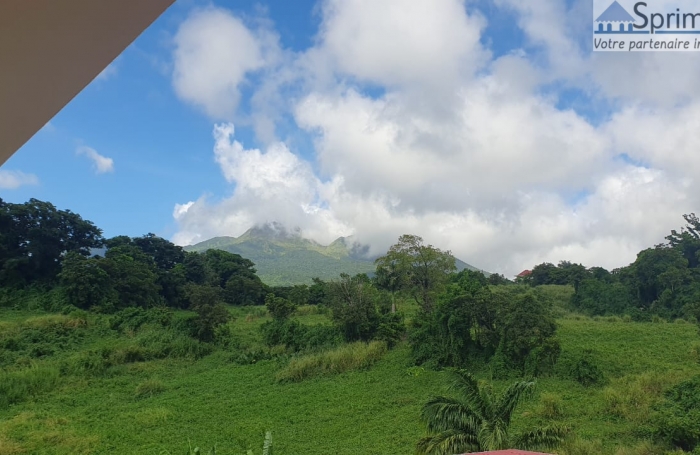 GOURBEYRE/PALMISTE - Appartement T4 Non meublé - Non climatisé - Vue Mer et montagne