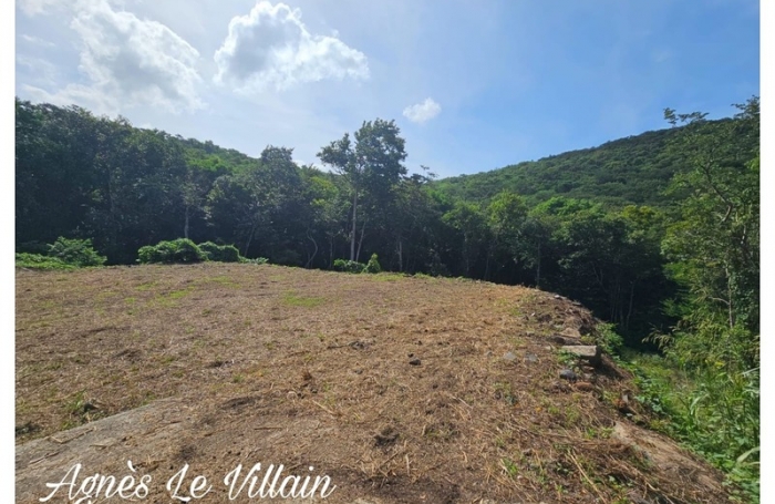 Vente Terrain 3182m&sup2; Bouillante