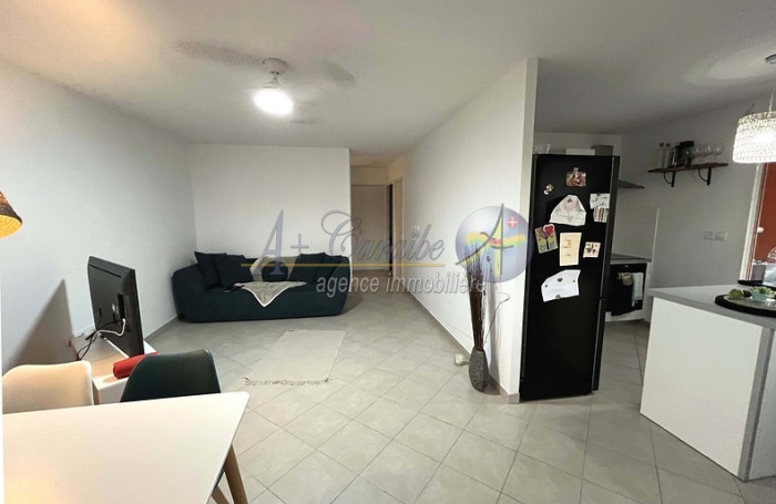 Location Appartement 97139