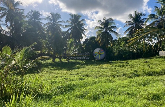 Opportunité Exceptionnelle - Terrain de 2037m2 en Zone UG, à 1km du Nouveau CHU, Morne à l'Eau