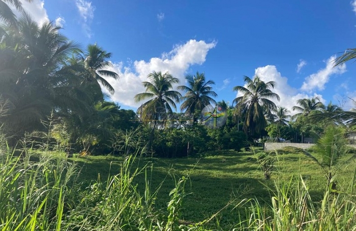 Opportunité Exceptionnelle - Terrain de 2037m2 en Zone UG, à 1km du Nouveau CHU, Morne à l'Eau