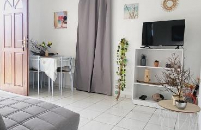 Location Appartement 97129