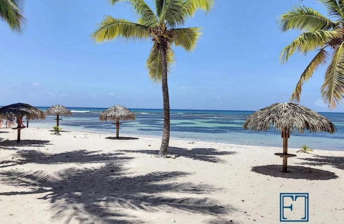 Vente Appartement 33.39m&sup2; 1 pi&#232;ce Saint François