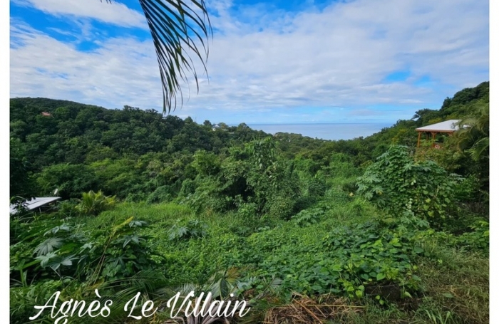 Vente Terrain 7664m&sup2; Bouillante