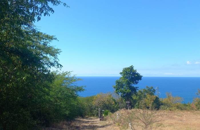 BOUILLANTE -Beau terrain de 1960 m2 - Vue sur la mer