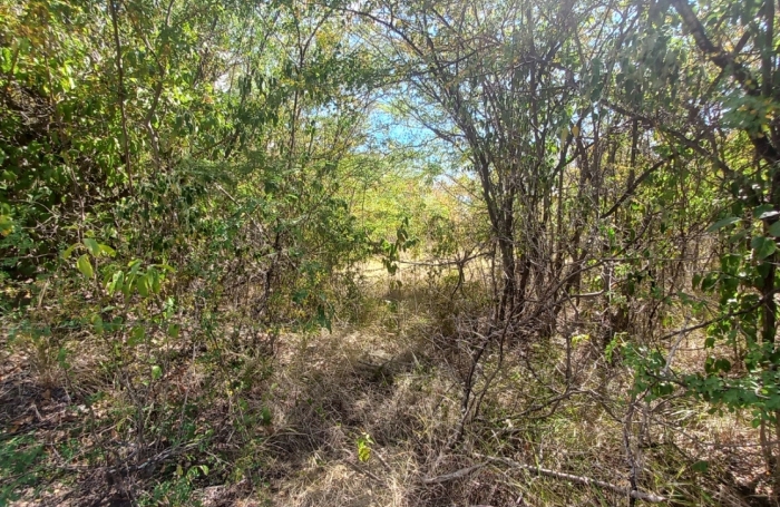 BOUILLANTE -Beau terrain de 1960 m2 - Vue sur la mer