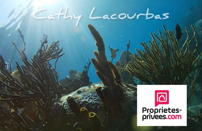 Vente Local commercial 402m&sup2; Deshaies