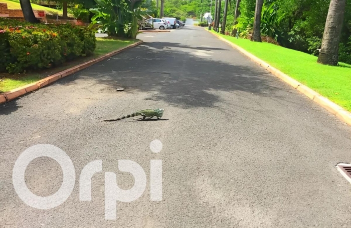 Vente Appartement 25.17m&sup2; 1 pièce Saint Fran&ccedil;ois