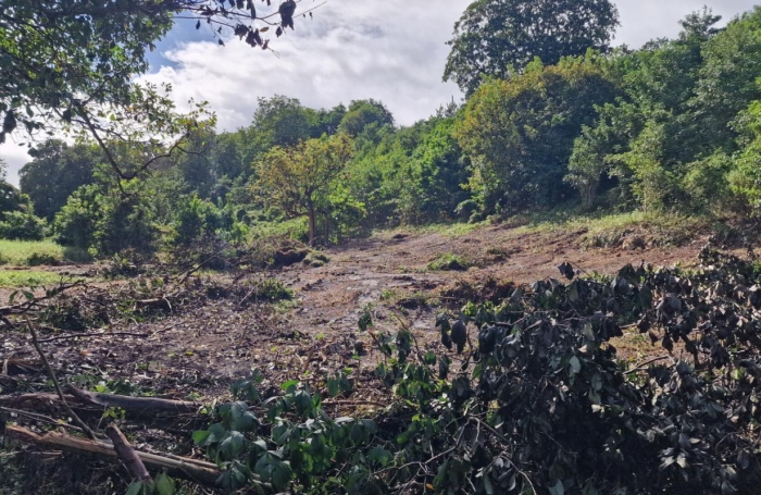 Vente Terrain 697m&sup2; Les Abymes