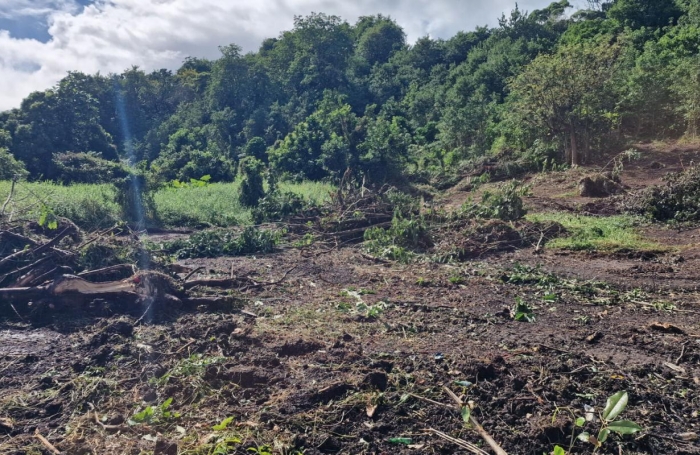 Vente Terrain 647m&sup2; Les Abymes