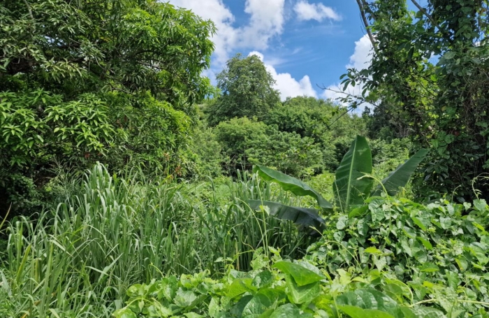 Vente Terrain 897m&sup2; Les Abymes