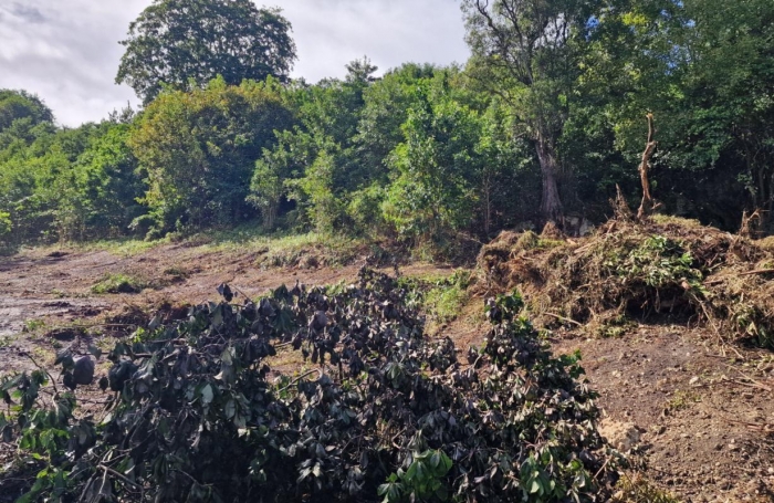 Vente Terrain 897m&sup2; Les Abymes