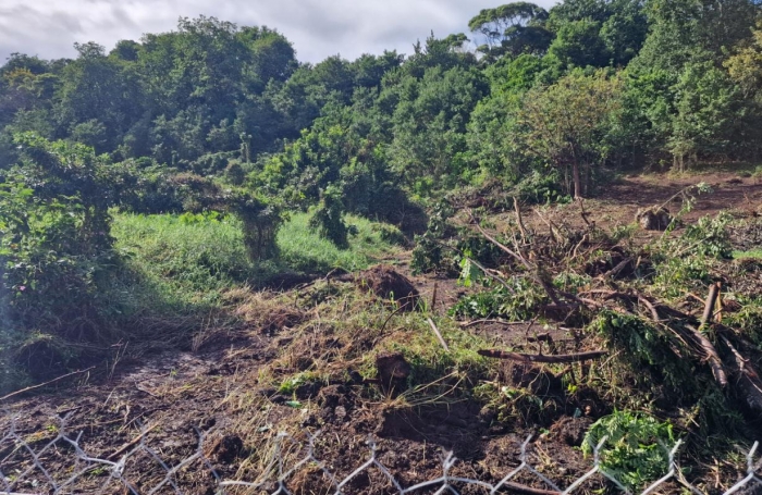 Vente Terrain 897m&sup2; Les Abymes