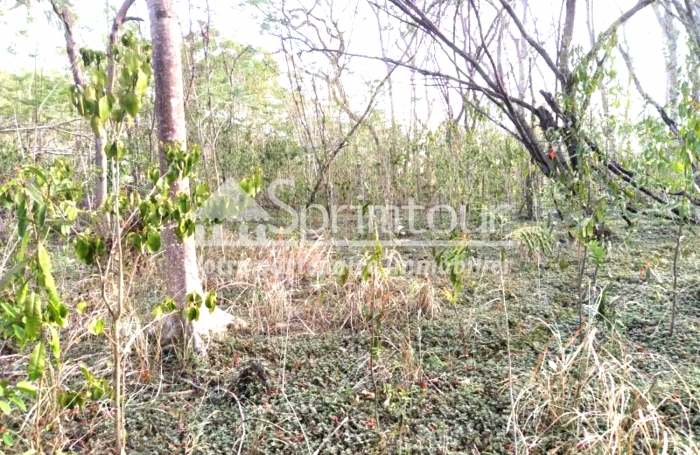 BOUILLANTE - Terrain de 2608 m2 - Bord de mer, plage à pied