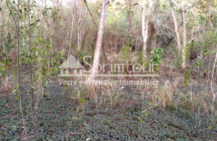 BOUILLANTE - Terrain de 2608 m2 - Bord de mer, plage à pied
