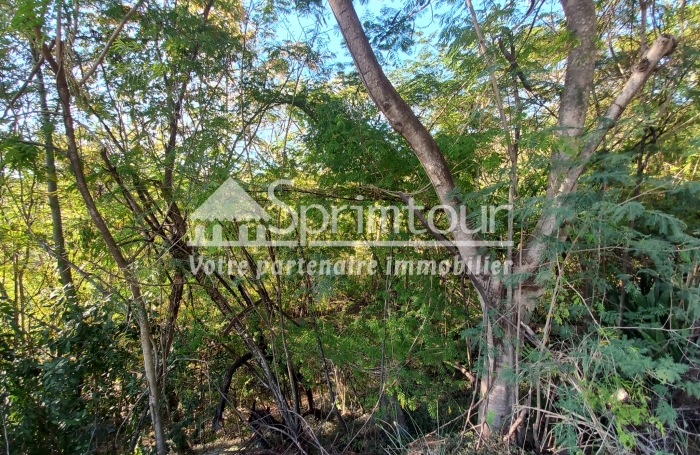 BOUILLANTE - Terrain de 2608 m2 - Bord de mer, plage à pied