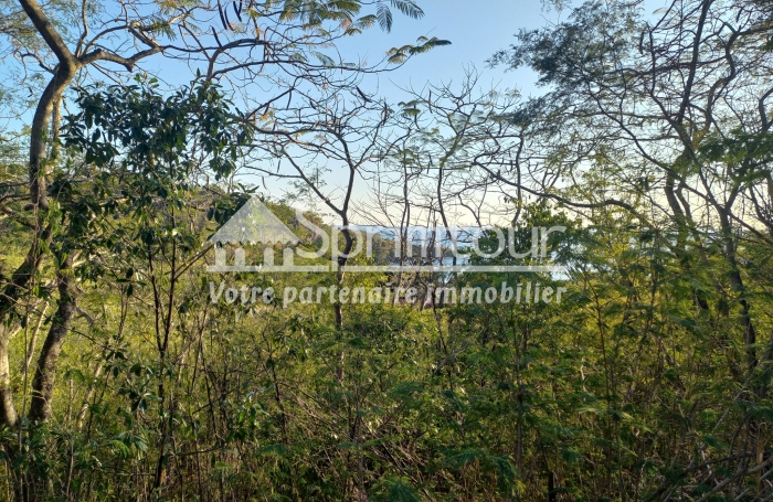 BOUILLANTE - Terrain de 2608 m2 - Bord de mer, plage à pied