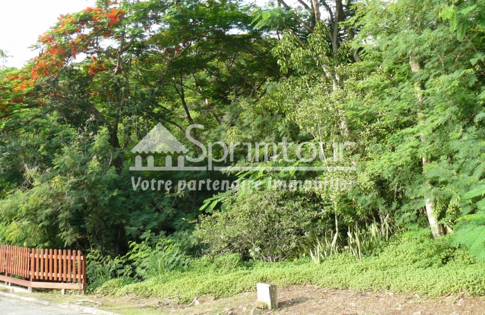 BOUILLANTE - Terrain de 2608 m2 - Bord de mer, plage à pied