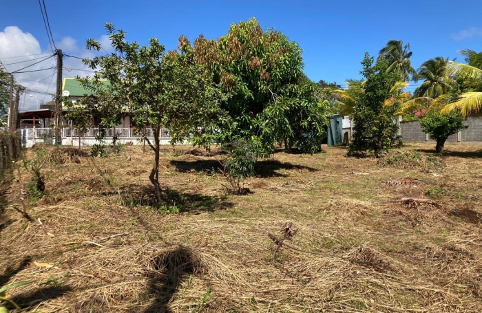 À VENDRE - TERRAIN CONSTRUCTIBLE À CAPESTERRE BELLE-EAU