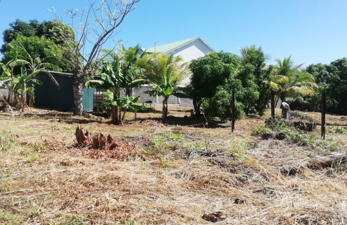 À VENDRE - TERRAIN CONSTRUCTIBLE À CAPESTERRE BELLE-EAU