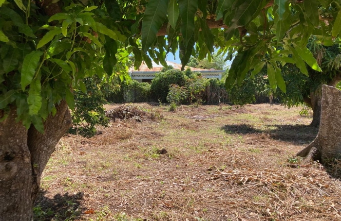 À VENDRE - TERRAIN CONSTRUCTIBLE À CAPESTERRE BELLE-EAU