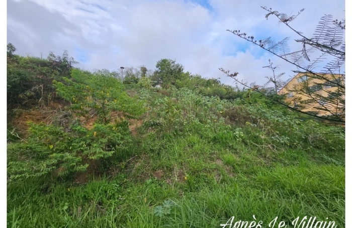 Vente Terrain 97125