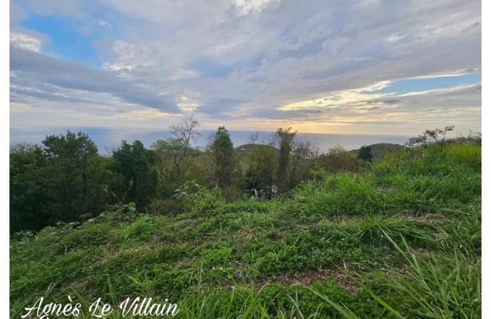 Vente Terrain 1059m&sup2; Bouillante