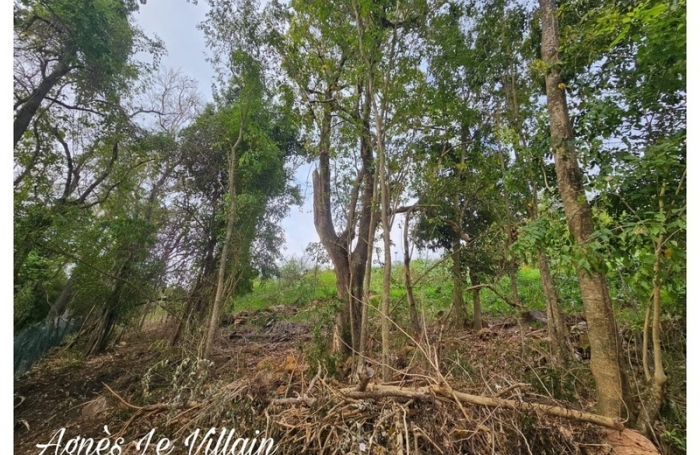 Vente Terrain 1059m&sup2; Bouillante