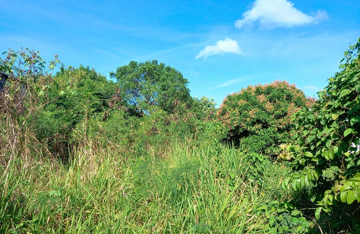 Vente Terrain 1013m&sup2; Sainte Anne