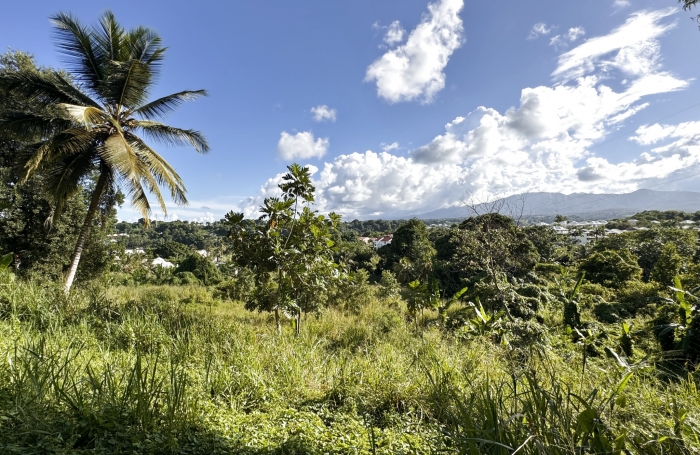 Terrain constructible de 1 452m2 à vendre 127 000€ à Petit-Bourg chez Longfort Immobilier