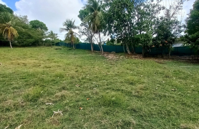 Vente Terrain 97190