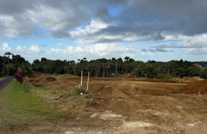 Vente Appartement 589m&sup2; 3 pi&#232;ces Petit-Bourg