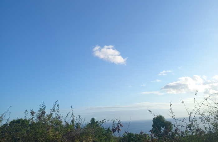 Spacieux Terrain à Vieux Habitants : Espace 4 956 m2, Calme et à Proximité de Basse Terre