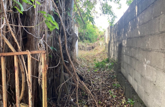 À vendre   Terrain constructible de 2999 m2 à Basse-Terre