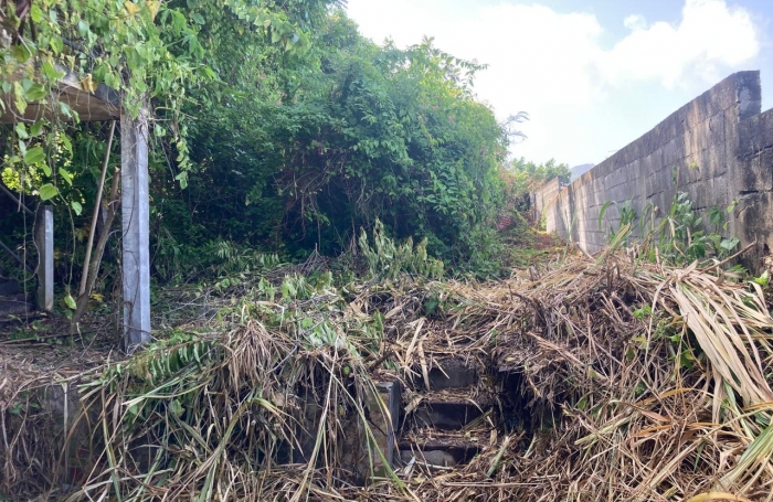 À vendre   Terrain constructible de 2999 m2 à Basse-Terre