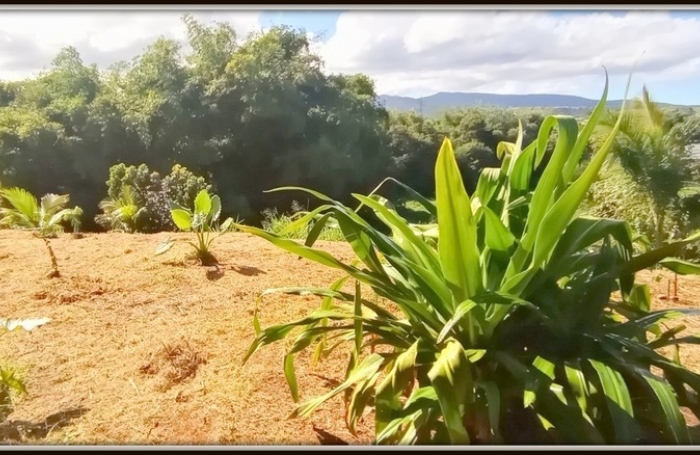 Vente Maison 100m&sup2; 4 pi&#232;ces Lamentin
