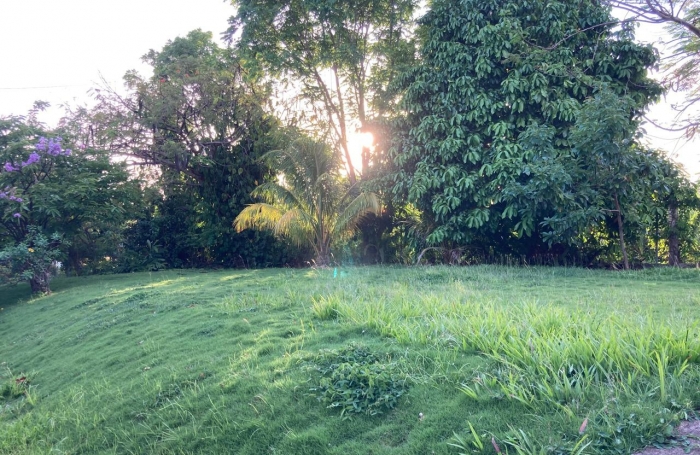 SAINT-CLAUDE -À louer   Local professionnel lumineux de 60 m2 en rez-de-jardin