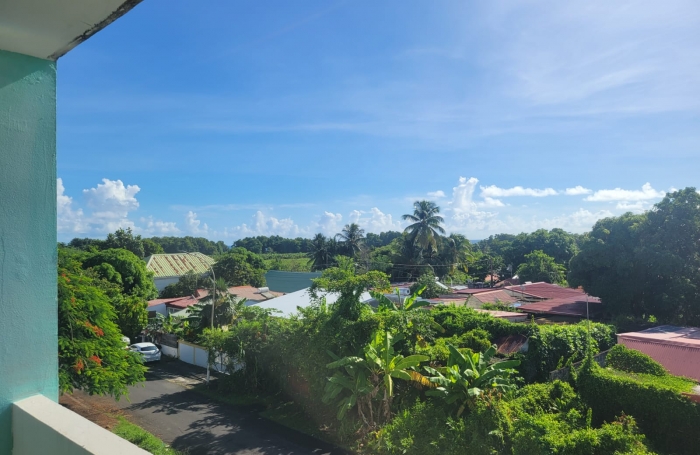 Vente Appartement 97130