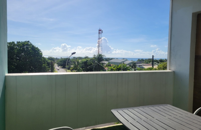 Capesterre-Belle-Eau, Appartement T3 rénové avec terrasse, vue dégagée