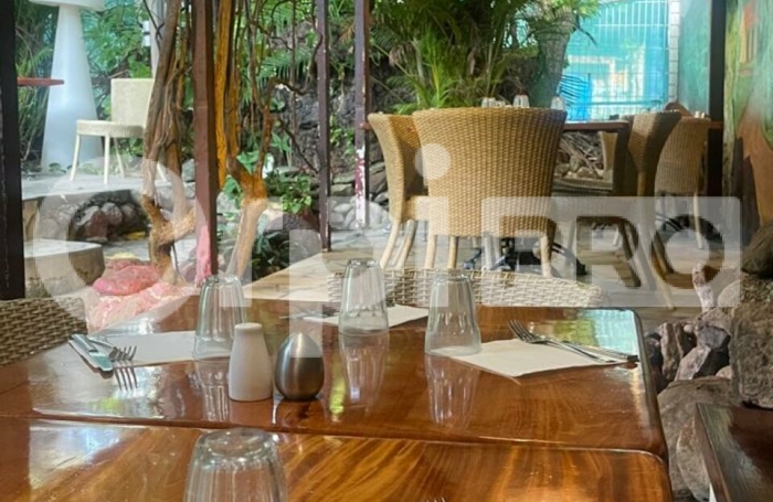 &#127869;&#65039; À VENDRE : Fonds de commerce – Restaurant – Terre-de-Haut, Les Saintes